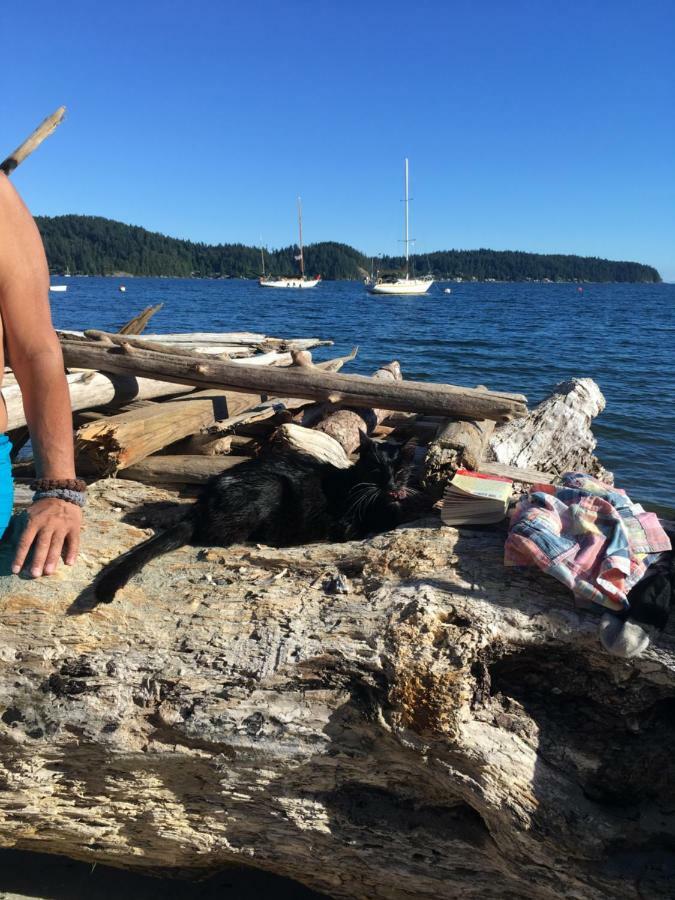 Oceanfront Suite Gibsons Εξωτερικό φωτογραφία